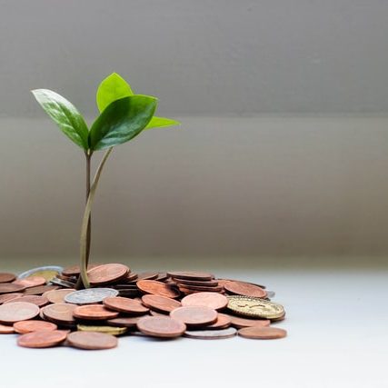 Grow from paid content Seedling growing from coins to represent paid content